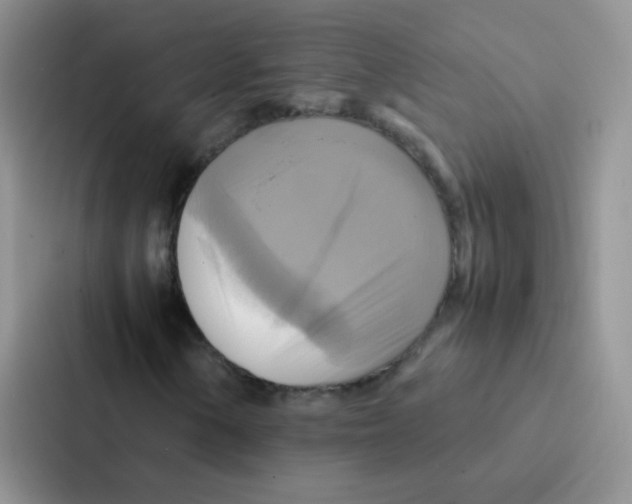 X0000086941154200705141756