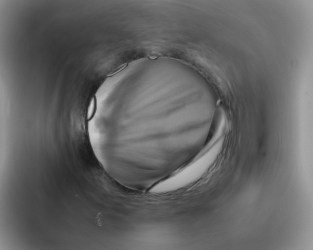 X0000086941155200705141756