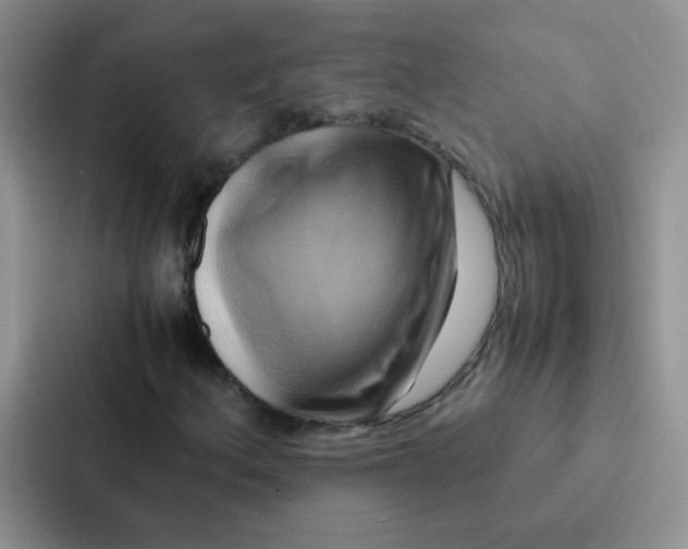 X0000086941156200705141756