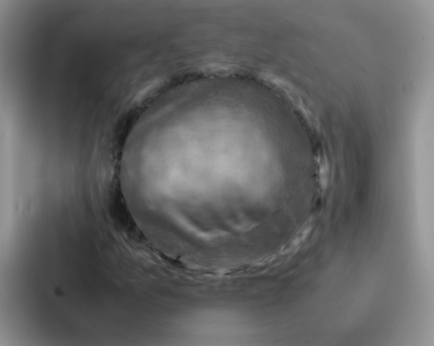 X0000086941157200705141756