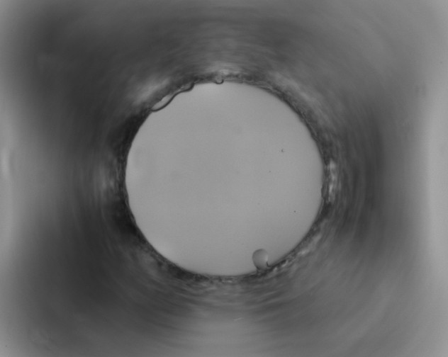 X0000086941158200705141756