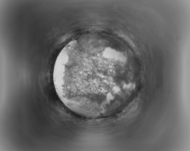 X0000086941159200705141756