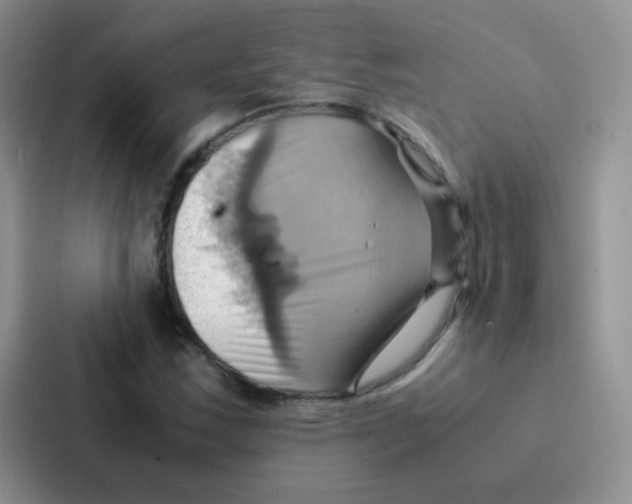 X0000086941163200705141756