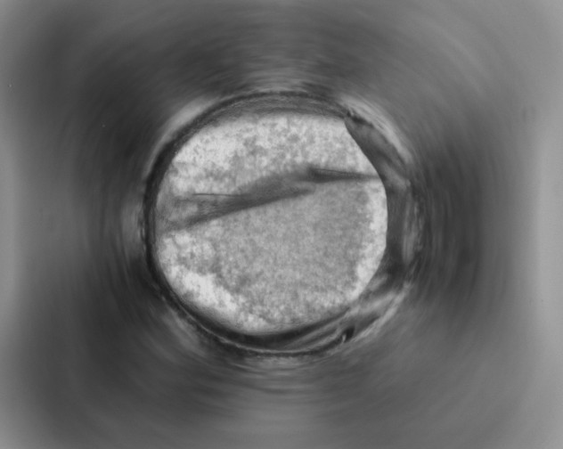 X0000086941164200705141756