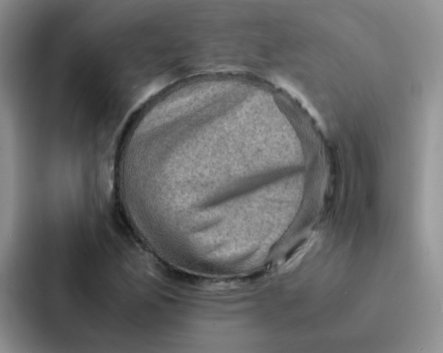 X0000086941165200705141756