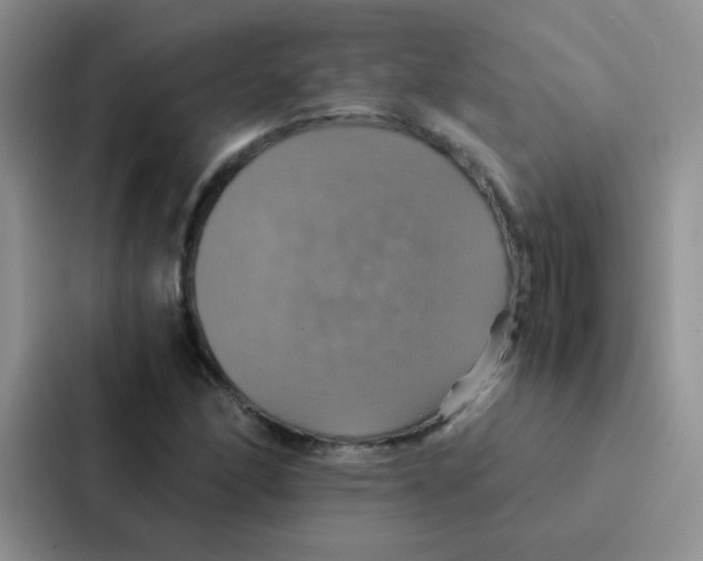 X0000086941166200705141756