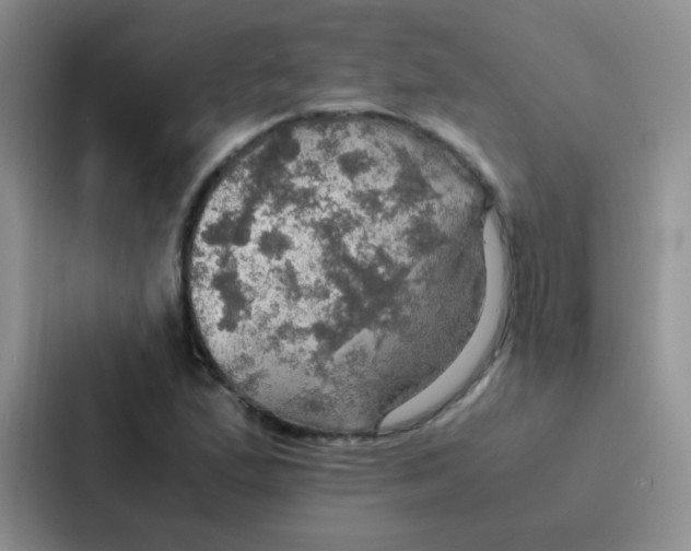 X0000086941167200705141756