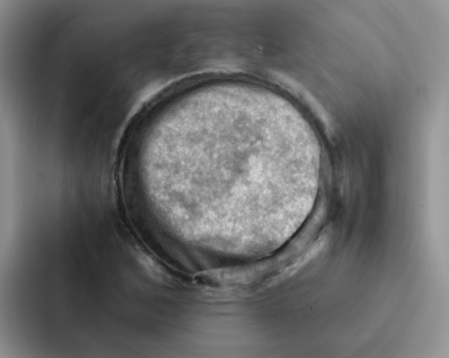 X0000086941168200705141756