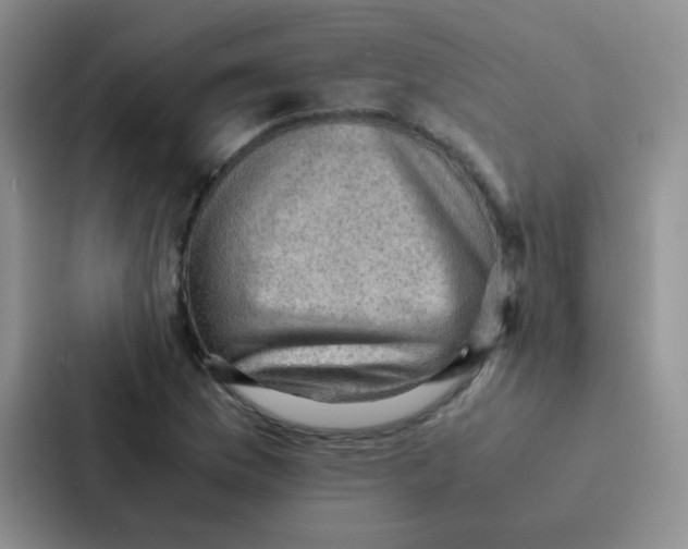 X0000086941169200705141756