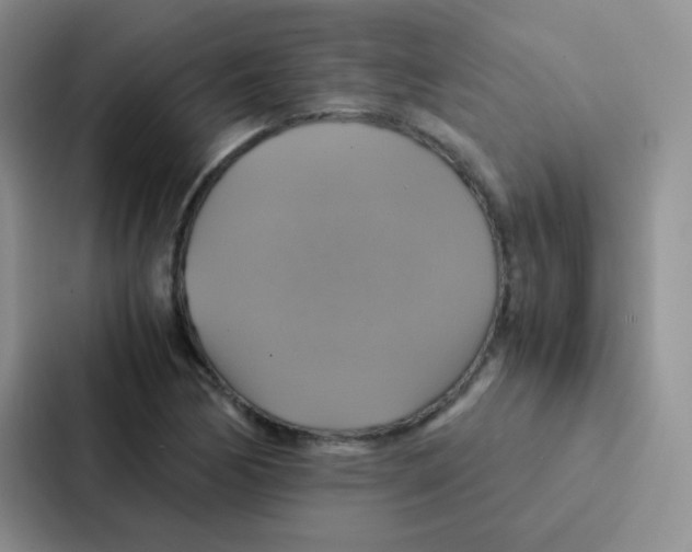 X0000086941170200705141756