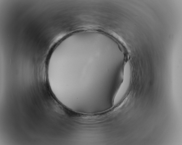 X0000086941171200705141756