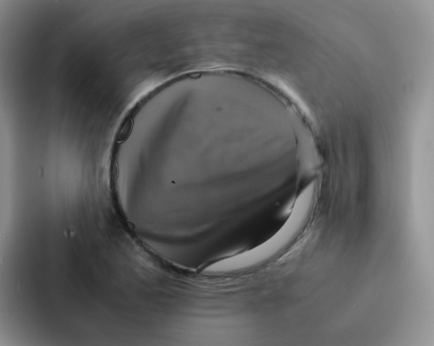 X0000086941173200705141756