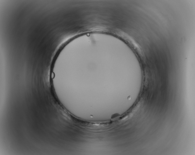 X0000086941174200705141756