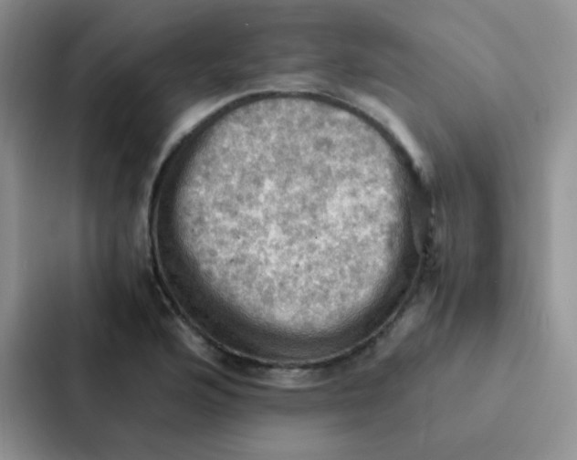 X0000086941176200705141756