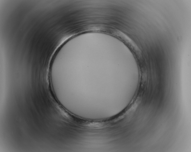 X0000086941178200705141756