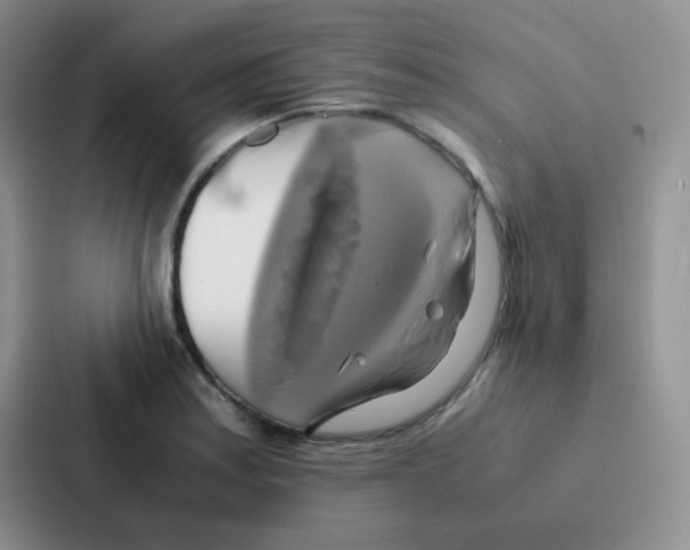 X0000086941179200705141756