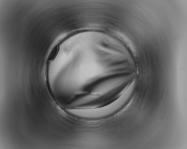 X0000086941180200705141756