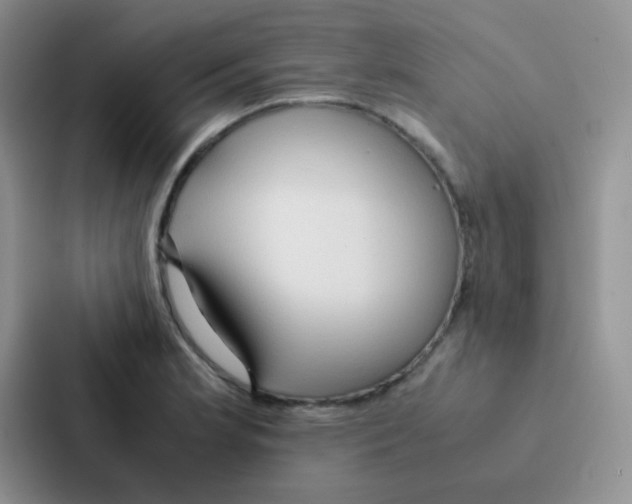 X0000086941181200705141756