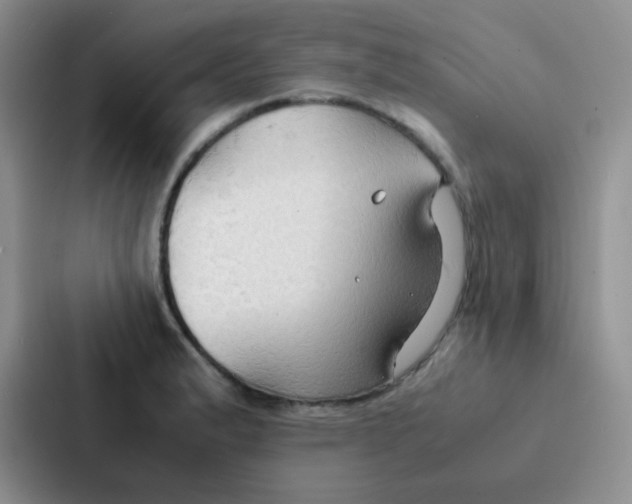 X0000086941183200705141756