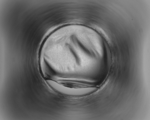 X0000086941184200705141756