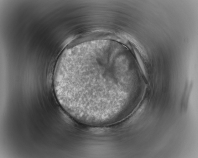 X0000086941185200705141756