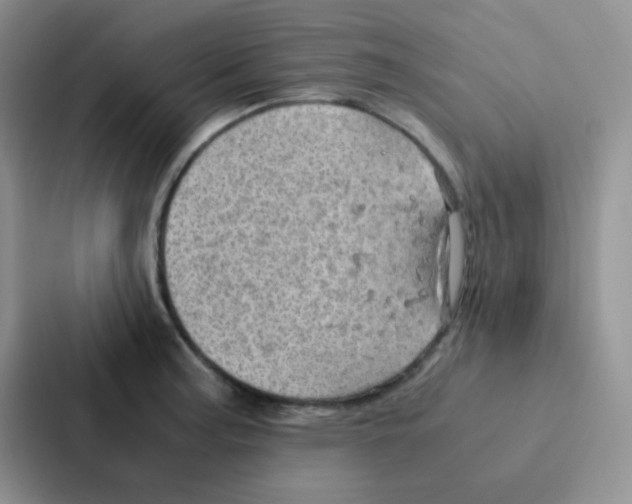 X0000086941187200705141756