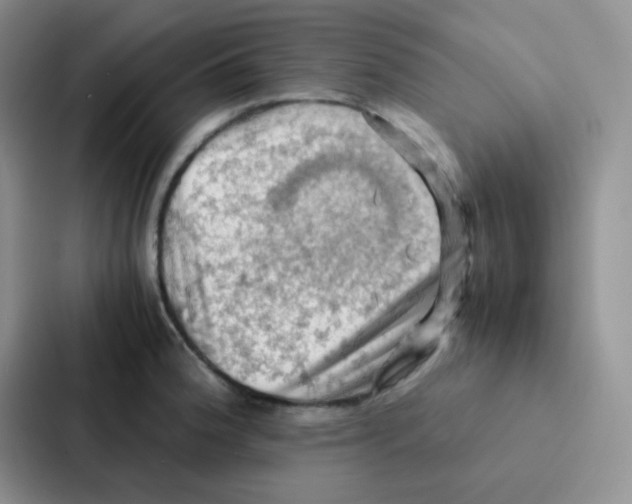 X0000086941188200705141756