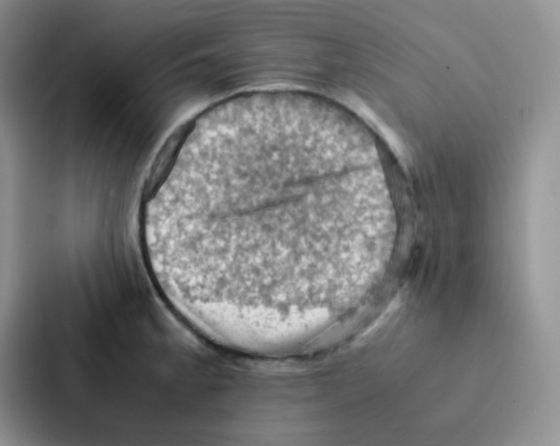 X0000086941189200705141756