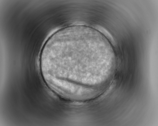 X0000086941190200705141756