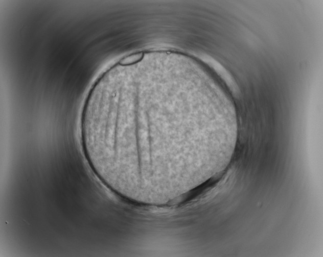 X0000086941191200705141756