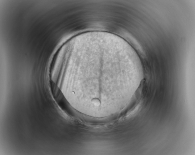 X0000086941192200705141756