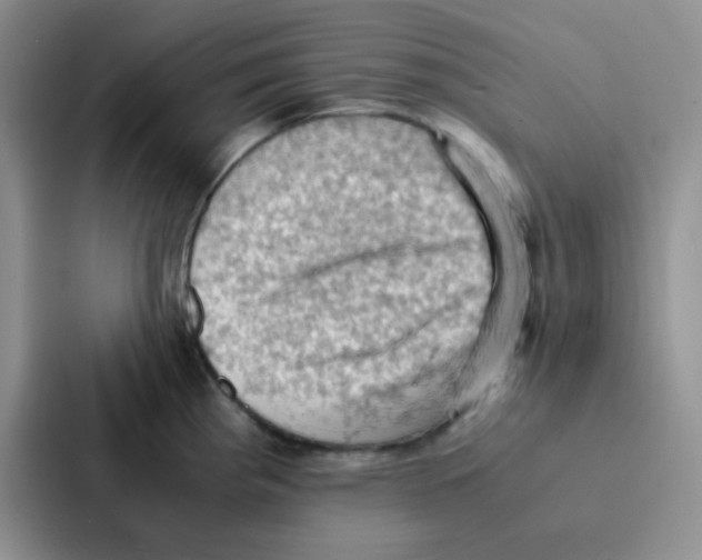 X0000086941193200705141756