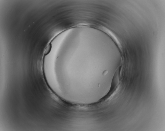 X0000086941194200705141756