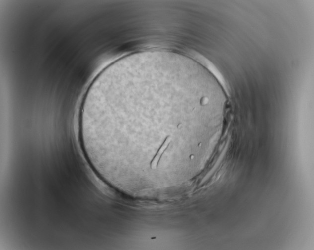 X0000086941195200705141756