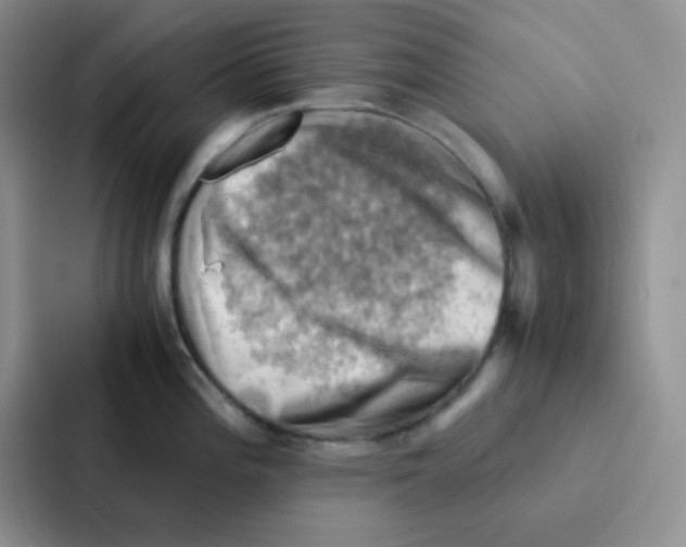 X0000086941196200705141756