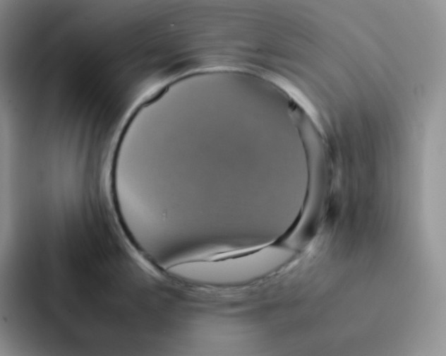 X0000086941197200705141756