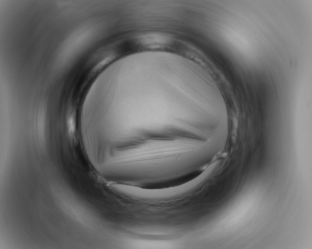 X0000086941198200705141756