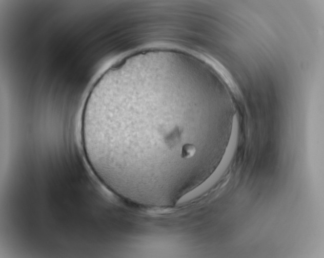 X0000086941199200705141756