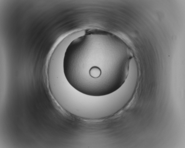 X0000086941200200705141756