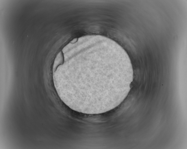 X0000086941201200705141755