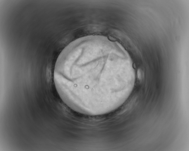 X0000086941203200705141755