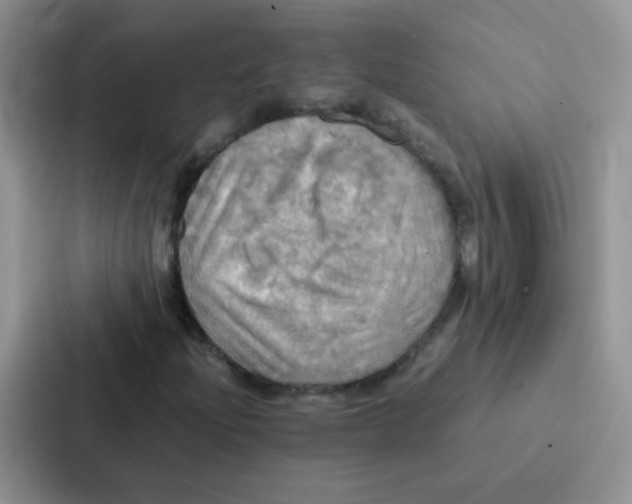 X0000086941204200705141755