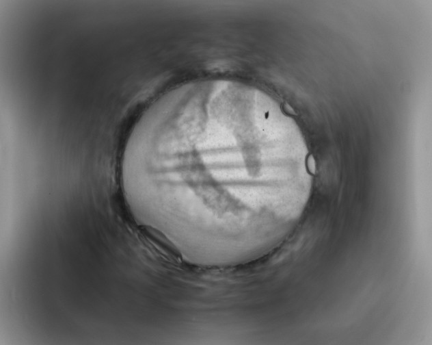 X0000086941205200705141755