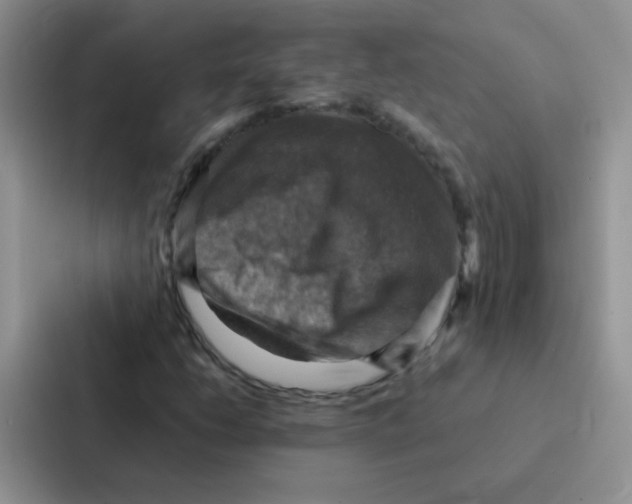 X0000086941206200705141755