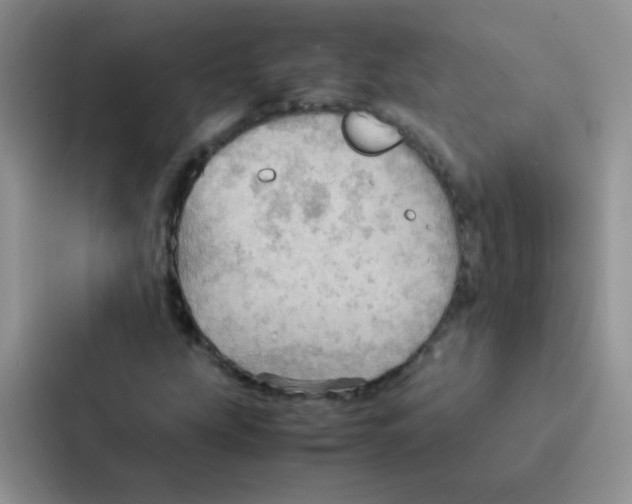 X0000086941207200705141755