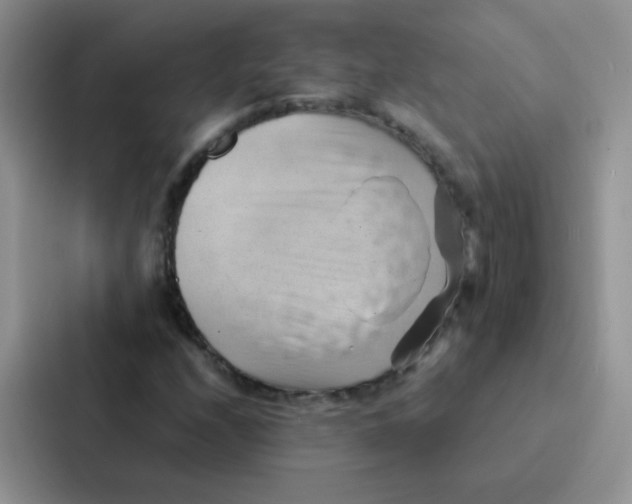 X0000086941208200705141755