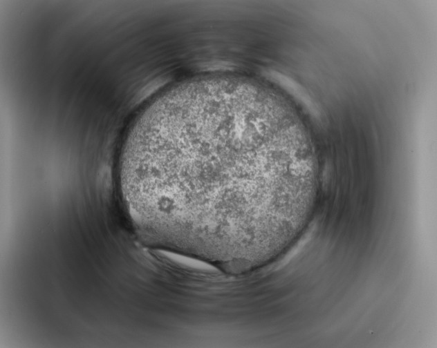 X0000086941209200705141755