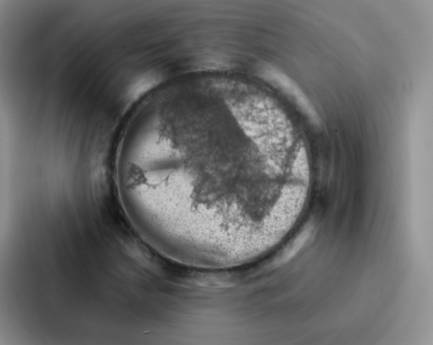 X0000086941210200705141755