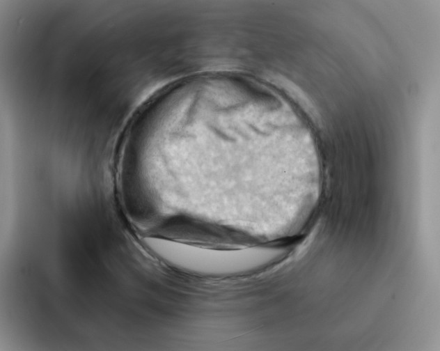 X0000086941212200705141755