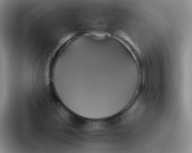 X0000086941213200705141755